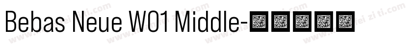 Bebas Neue W01 Middle字体转换